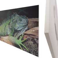 Fotos auf PVC Hartschaum